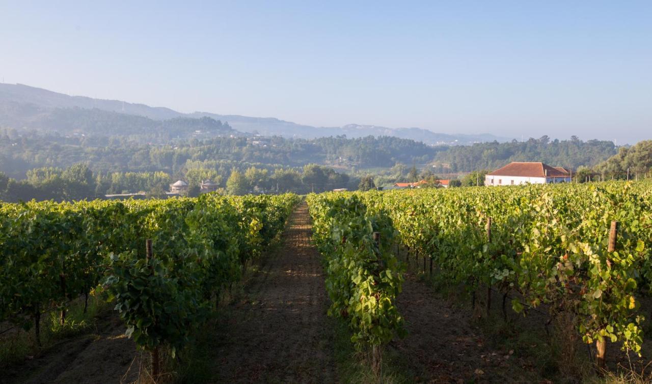 Casa Lata - Agroturismo e Enoturismo Amares Zewnętrze zdjęcie